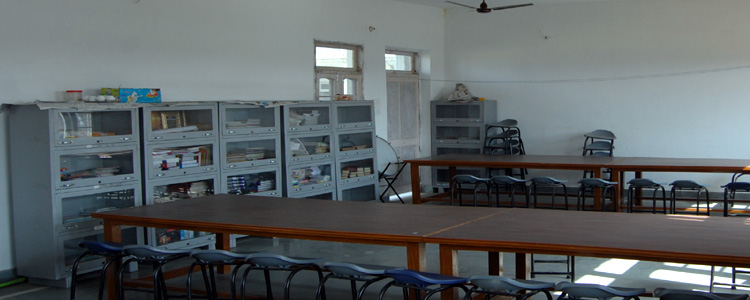 Shaheed Baba Deep Singh Public School Academic